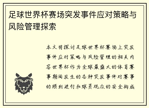 足球世界杯赛场突发事件应对策略与风险管理探索