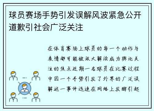 球员赛场手势引发误解风波紧急公开道歉引社会广泛关注