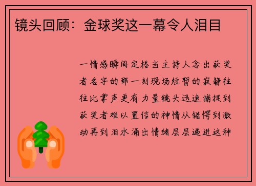镜头回顾：金球奖这一幕令人泪目