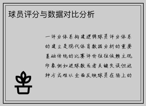 球员评分与数据对比分析